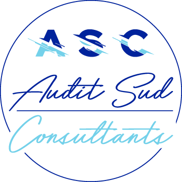 logo audit sud consultant